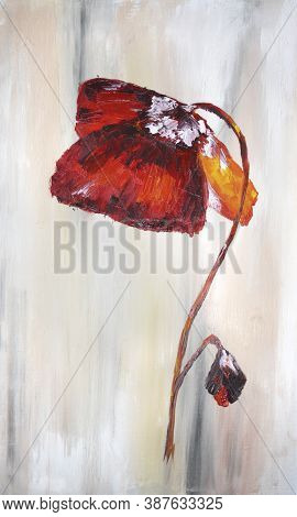 Red Poppy Flower On The Ligth Backgroubd Oil Painting
