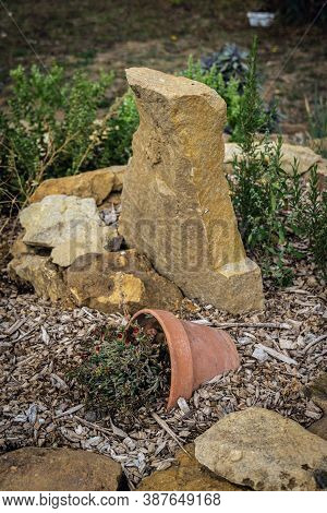 Flower Pot In Snail Bed In French Permaculture Garden