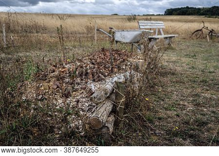 Raised Flower Bed Made Of Tree Trunks In Permaculture Garden