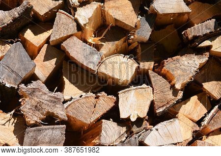 Close Up. Cut Wood Pile Of Firewood