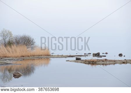 Grey, Mirrorlike Coastline In Autumn, Landscape, Nature