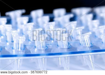 Science Plastic Test Centrifuge Tubes, Test Tube