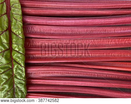 Several Stems Of Bright Red Chard Are Stacked Close To Each Other, Across A Young Green Swiss Chard 
