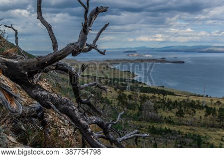 Bare Dark Branch Of Burned Tree Against The Background Of Bay Of Blue Siberian Lake Baikal With Yell