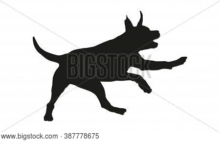 Black Dog Silhouette. Running American Staffordshire Terrier Puppy. Isolated On A White Background. 