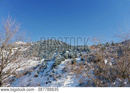 Winter In The Mountains Of Uzbekistan. The Resort Of Beldersay. Tian Shan Mountain Range