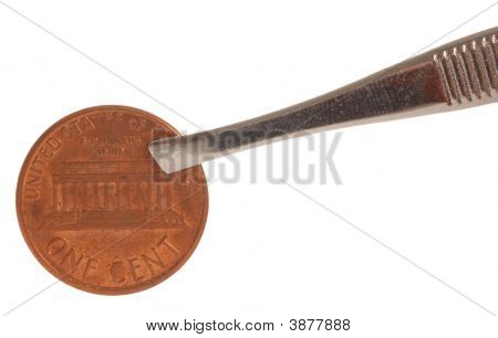 Penny Kneifen