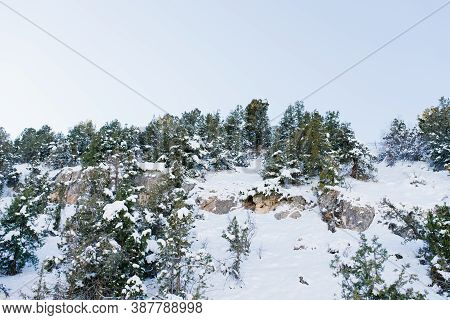 Mountain Peaks Covered With Snow, Where The Forest Grows. Beldersay In Uzbekistan