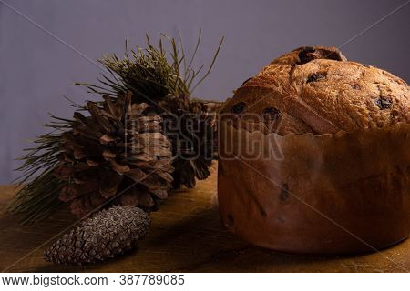 Panettone With Chocolate Chips On Rustic Wood With Pine Cones And Branches With Gray Background, Sel