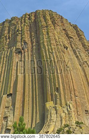 Vertical Column Details In A Monolith At Devils Tower National Monument In Wyoming