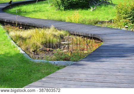 Curved Winding Wooden Path With Plants And Grass Growing Around In Botanical Garden