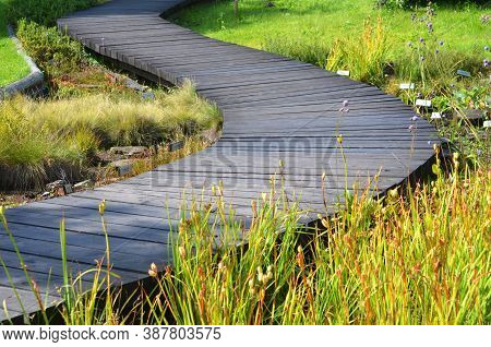 Curved Winding Wooden Path With Plants And Grass Growing Around In Botanical Garden