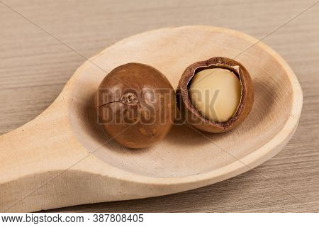 Wooden Spoon With Macadamia Nuts - Macadamia Integrifolia.