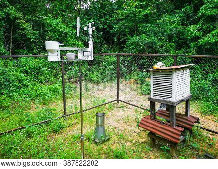 Rain Background Measurement And Analysis In The Forest