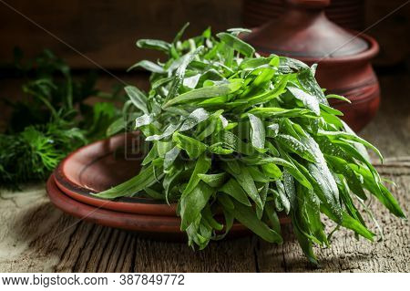 Fresh Green Tarragon In A Beam In An Earthenware Pot On The Old Wooden Background In Rustic Style, S
