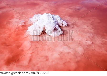 The Salty Shore In Kherson Region, Ukraine. The Water Looks Pink Due To A Special Algae That Grows I