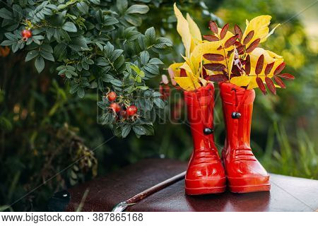 Red Kids Gumboots With Yeallow Leaves Inside Stay On Vintage Suitcase. Autumn Coziness With Foliage 