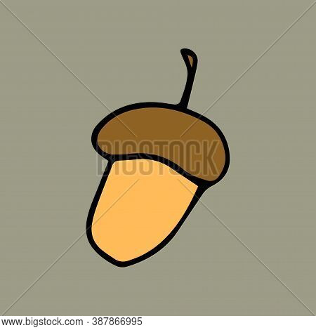 Vector Hand Drawn Color Doodle Acorn Icon. Doodle Style Graphic