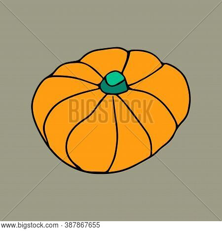 Color Vector Hand Drawn Doodle Orange Pumpkin Icon. Doodle Style Graphic Elements