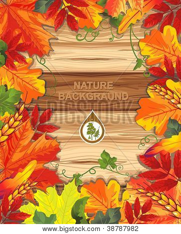 Sfondo senza soluzione di continuità da acero autunno foglie. Felice bella carta di ringraziamento con il posto per il vostro 