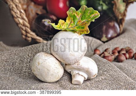 Three White Mushrooms With Autumn Oak Leaf Lie On Burlap On Background Of Vegetables