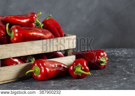 Fresh Ripe Red Capia Pepper, Hot Chili Pepper On Grey Rustic Table, Turkish Vegetable Spice Concept