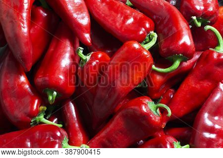 Fresh Ripe Red Capia Pepper, Hot Chili Pepper On Grey Rustic Table, Turkish Vegetable Spice Concept