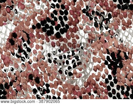 Watercolor Ethnic Design. Summer Rhombus Background. Black And White Snake Skin Random Texture. Geo