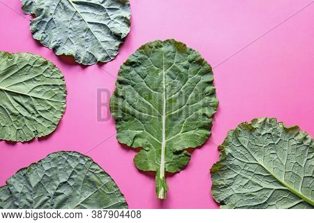 Leaves Of Rastan ( Collard Greens, Collards )   - Popular Leafy Vegetables In Balkan Cuisine. Copy S