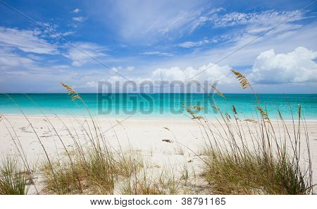 Bella spiaggia presso l'isola di Providenciales in Turks e Caicos