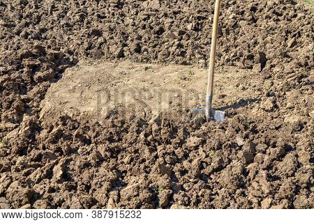 Abstract: Unfinished Work. Diggin Soil With Shovel In Vegetable Garden.