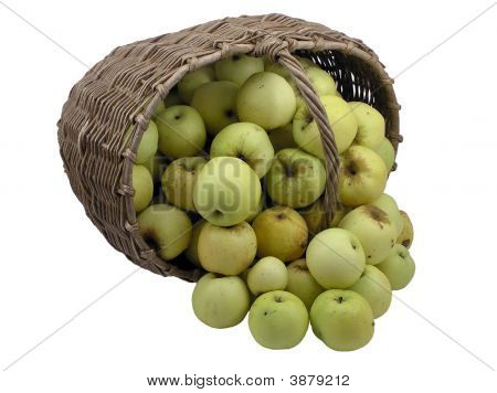 Green Apples In A Basket Isolated