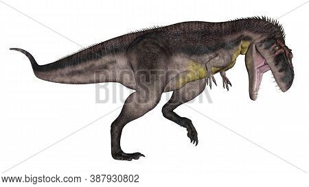 Tyrannotitan Dinosaur Roaring Isolated In White Background - 3d Render