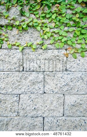 Brick Wall