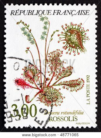 Postage Stamp France 1992 Common Sundew, Carnivorous Plant