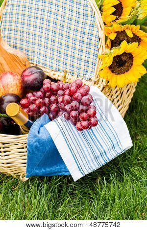 Picnic