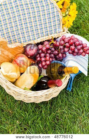 Picnic