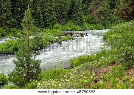 Wild Deschutes River