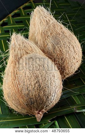 Two coconuts on coconut leaf