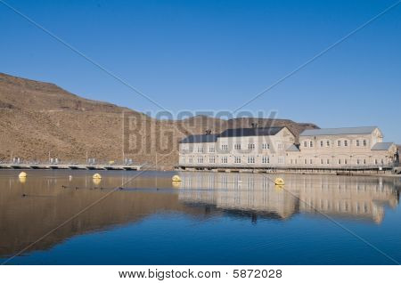 Swan fällt dam