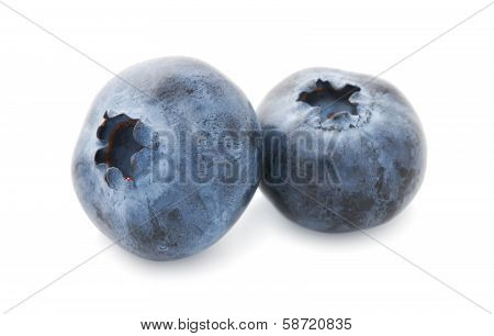 Blueberry