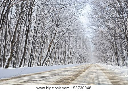 Winter Road