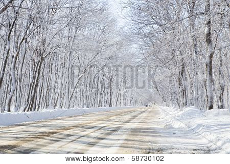 Winter Road