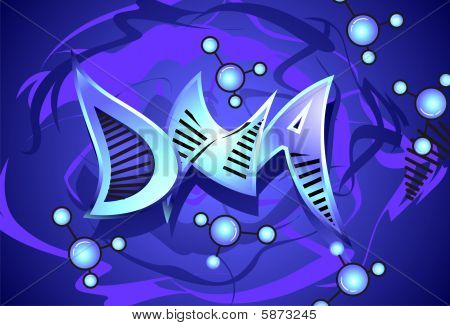 DNA model