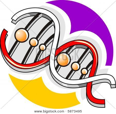 DNA model