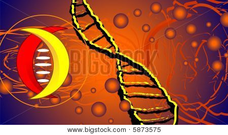 DNA