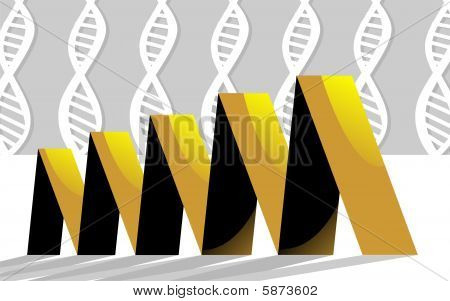 DNA model