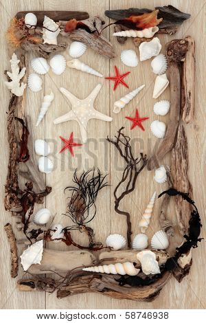 Sea shell, driftwood and seaweed abstract design over old oak background.