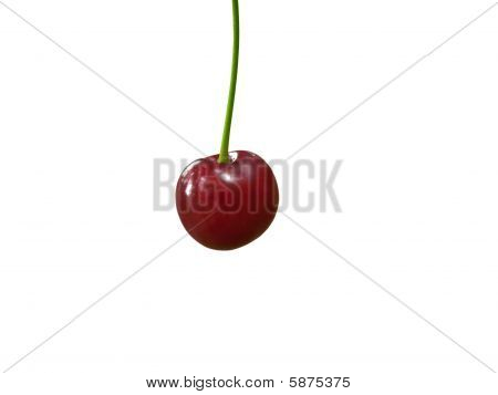 Višeň