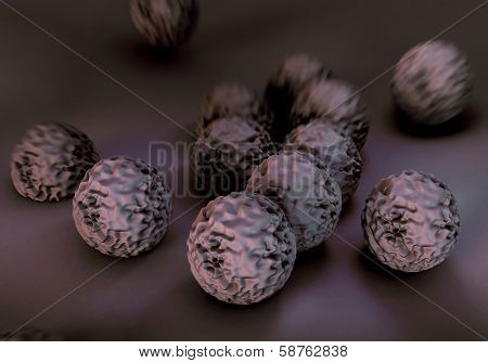 MRSA bacteria or superbug bacteria